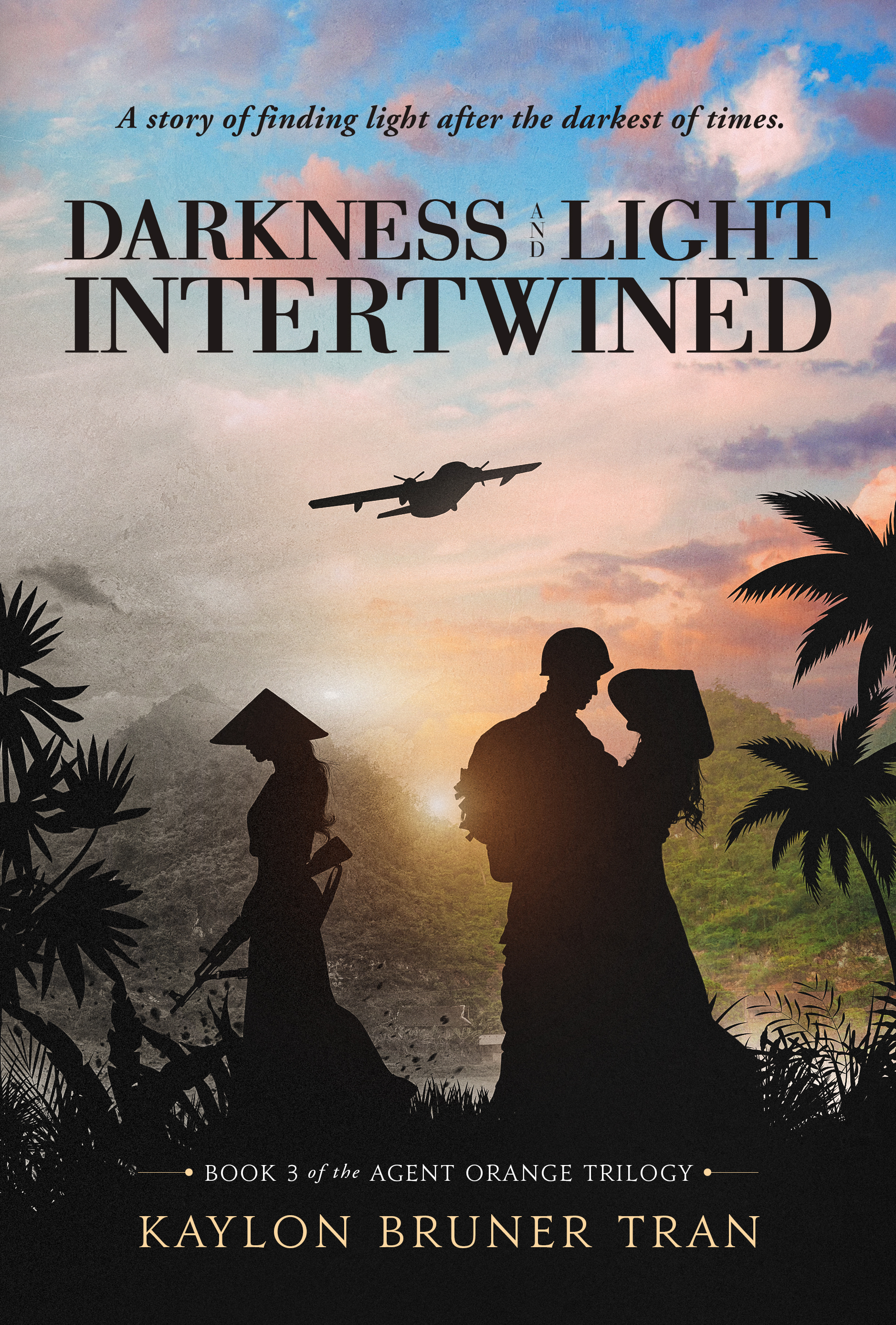 Book cover for Darkness and Light Intertwined